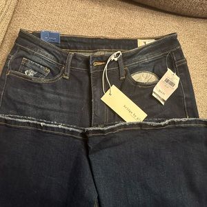 Buckle- Curvy High Rise Flare Jeans